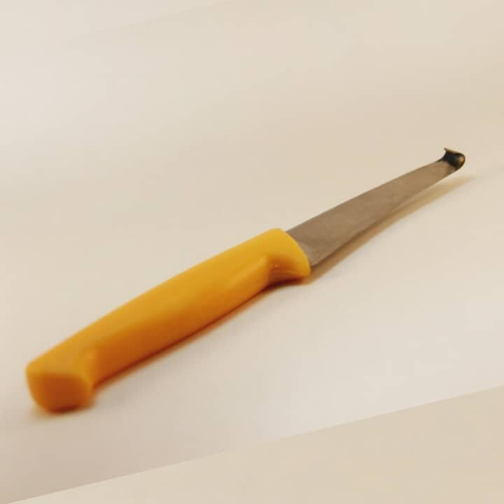 رنت سم چینی