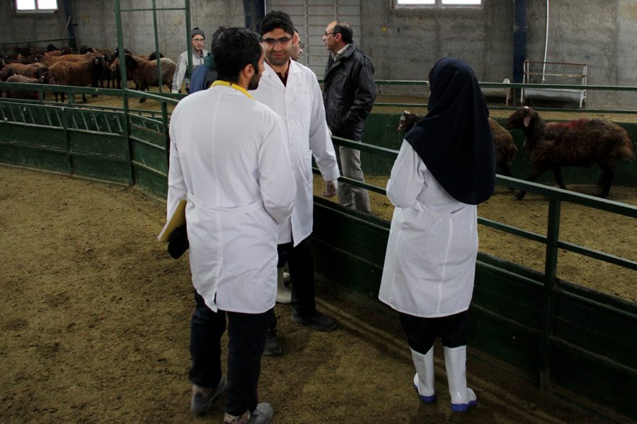 دامداری‌ها